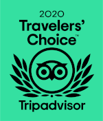 2020 TRAVELERS' CHOICE AWARD